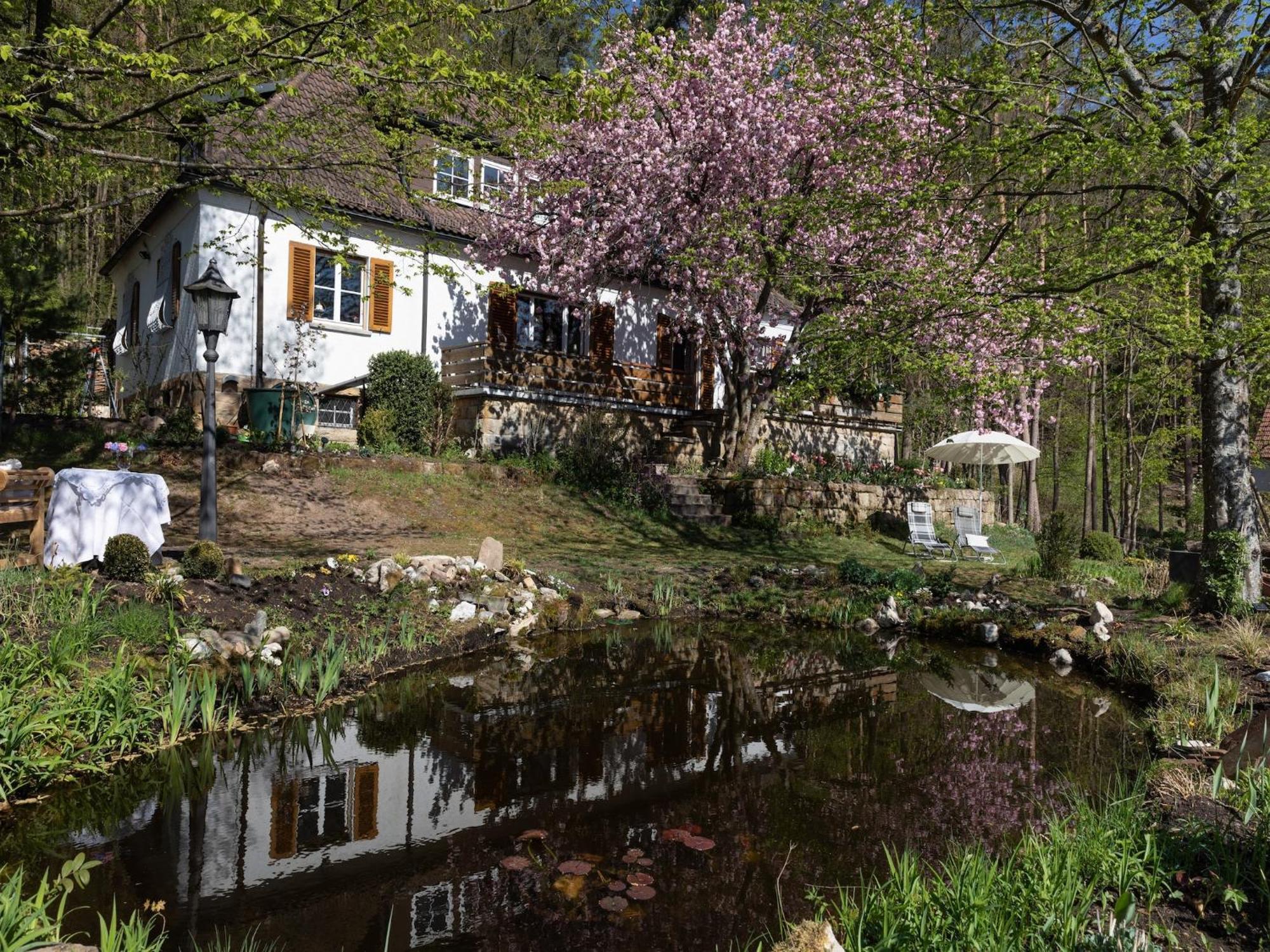 Charming Apartment In Wei Enbrunn Near Forest Weissenbrunn Exterior foto